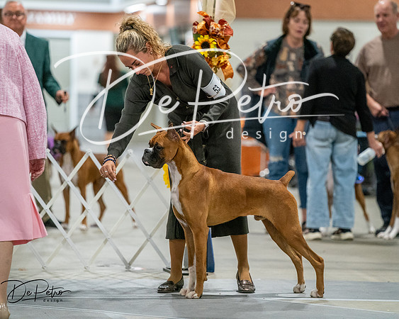 20261022-DSC02781