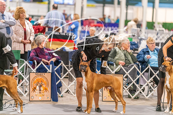 20261024-DSC08398