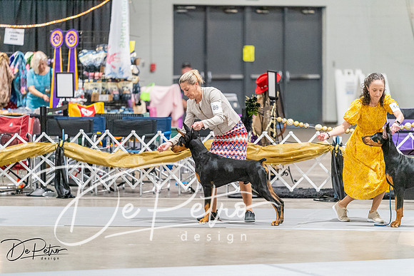 20261001-DSC07146