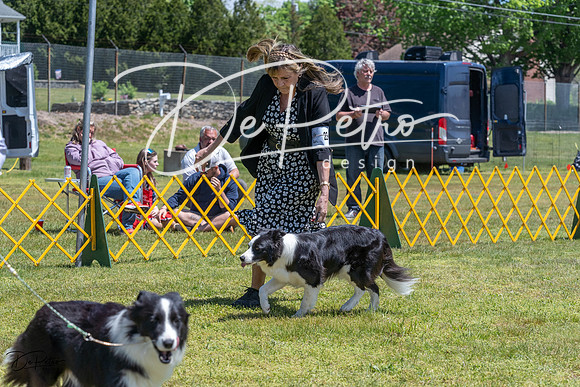 20230514-DSC04888