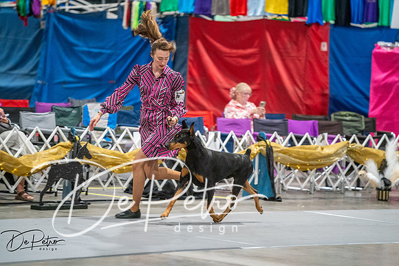 20260926-DSC04840