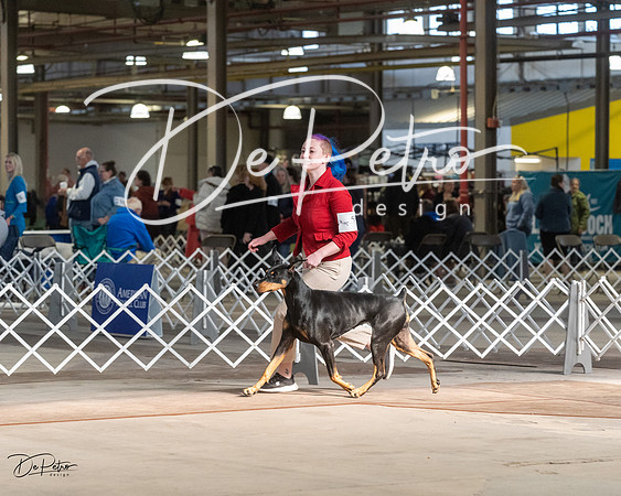 20230402-DSC08823