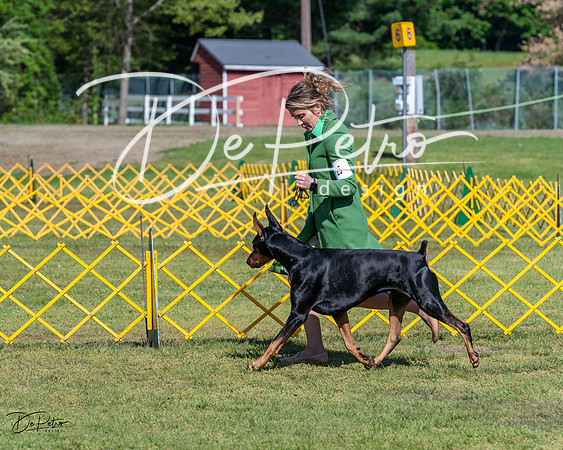 20230514-DSC03023