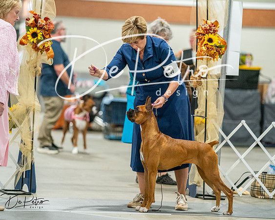 20261022-DSC03226