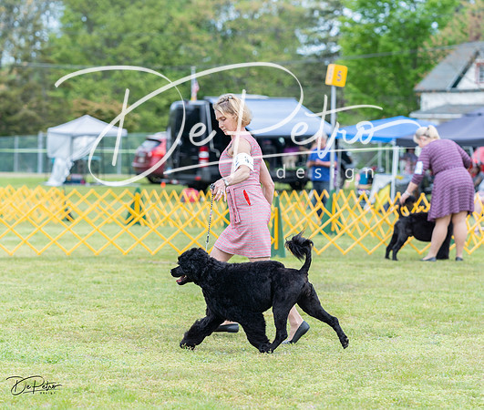 20230513-DSC07964