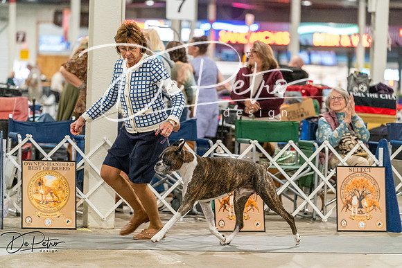 20261023-DSC05345