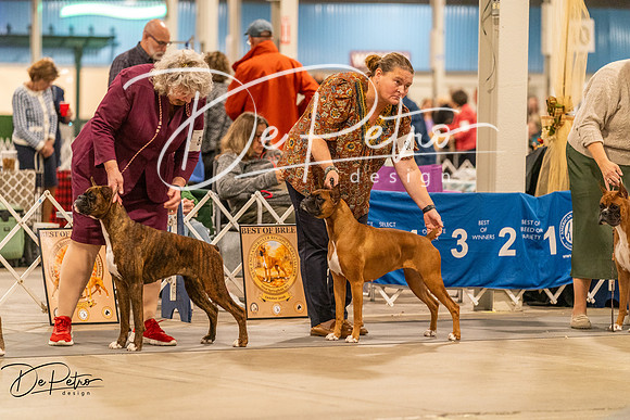 20261023-DSC05246