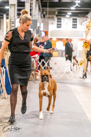 20261024-DSC08319