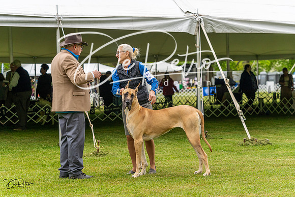 20230427-DSC02771
