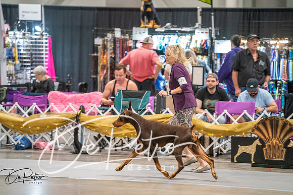 20260926-DSC04373