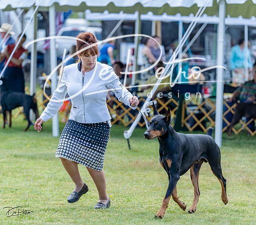 20230513-DSC08827