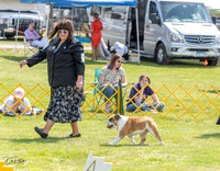 20230512-DSC03948