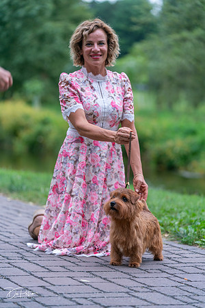 20260912-DSC03352