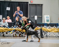 20260926-DSC03830