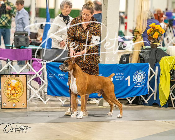 20261022-DSC02038