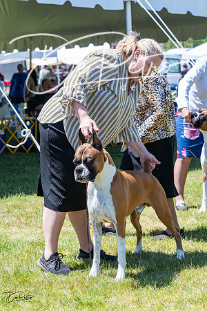 20230514-DSC04256