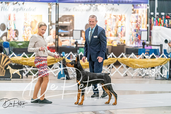 20261001-DSC07172