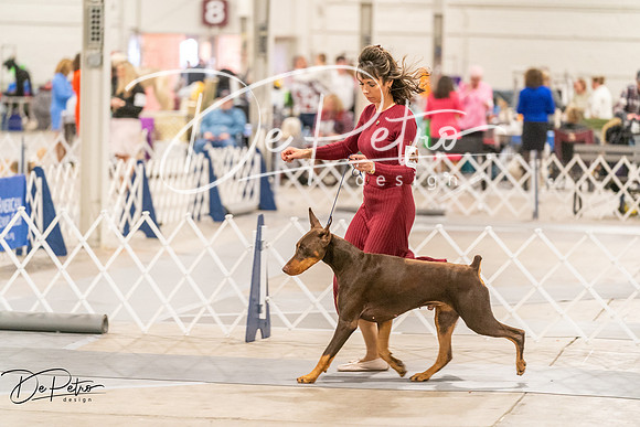 20261024-DSC00902