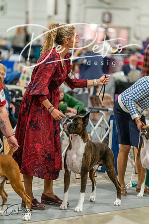 20261023-DSC05508