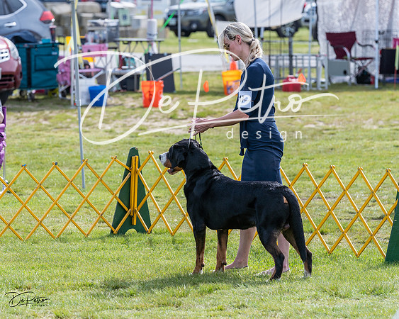 20230513-DSC00785