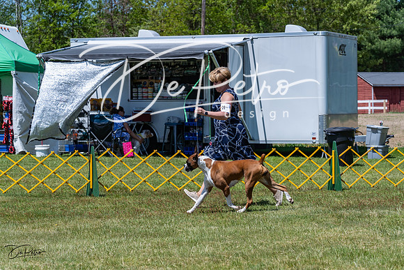 20230514-DSC04534