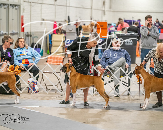 20261022-DSC02092