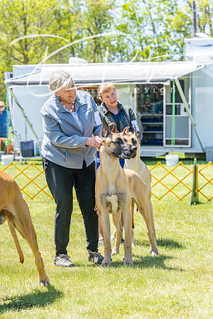 20230514-DSC08045
