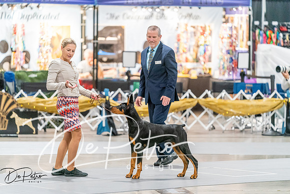 20261001-DSC07174