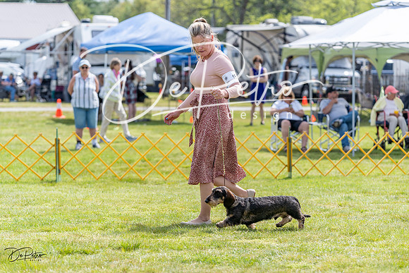 20230513-DSC09729