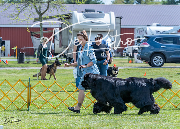 20230512-DSC05175