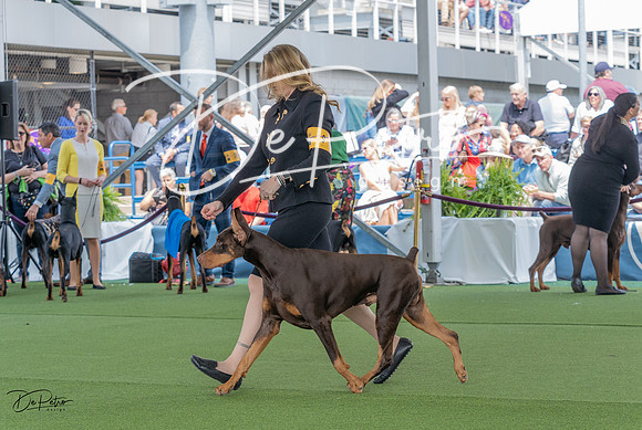 20230509-DSC01018