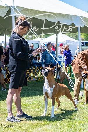 20230514-DSC04526
