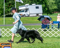 20250629-DSC00771