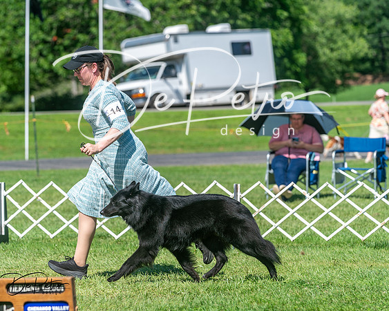 20250629-DSC00771