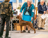 20261022-DSC01639