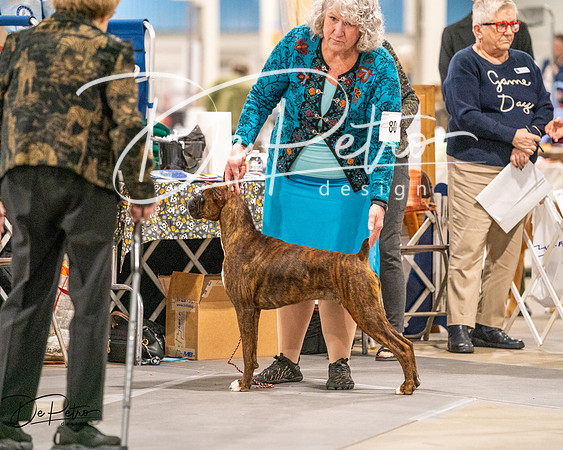 20261022-DSC01639
