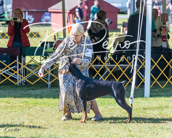 20230514-DSC02820