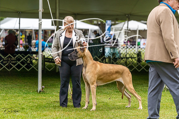 20230427-DSC02962