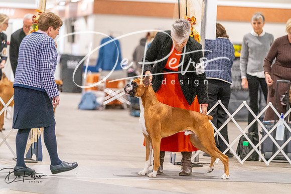 20261024-DSC08380