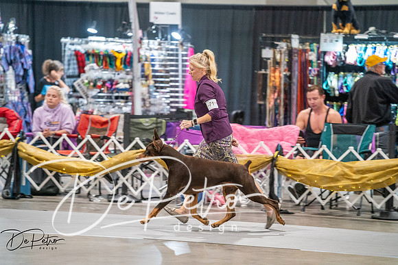 20260926-DSC04261