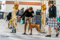 20261022-DSC00045