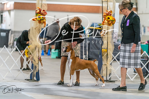 20261022-DSC00045