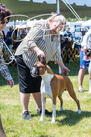 20230514-DSC04263