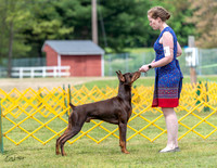 20230513-DSC08121