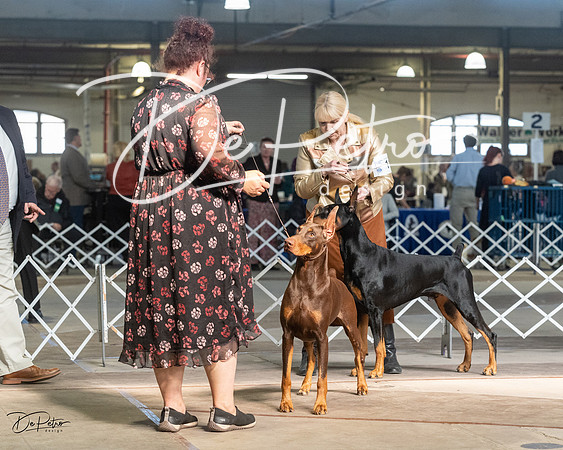20230402-DSC08976