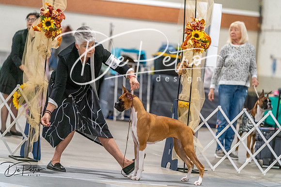20261022-DSC00087