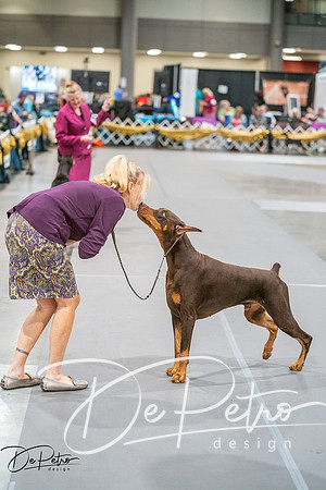 20260926-DSC04463