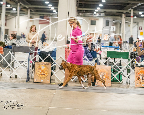 20261022-DSC01734