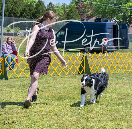 20230514-DSC04704
