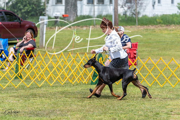 20230513-DSC08384